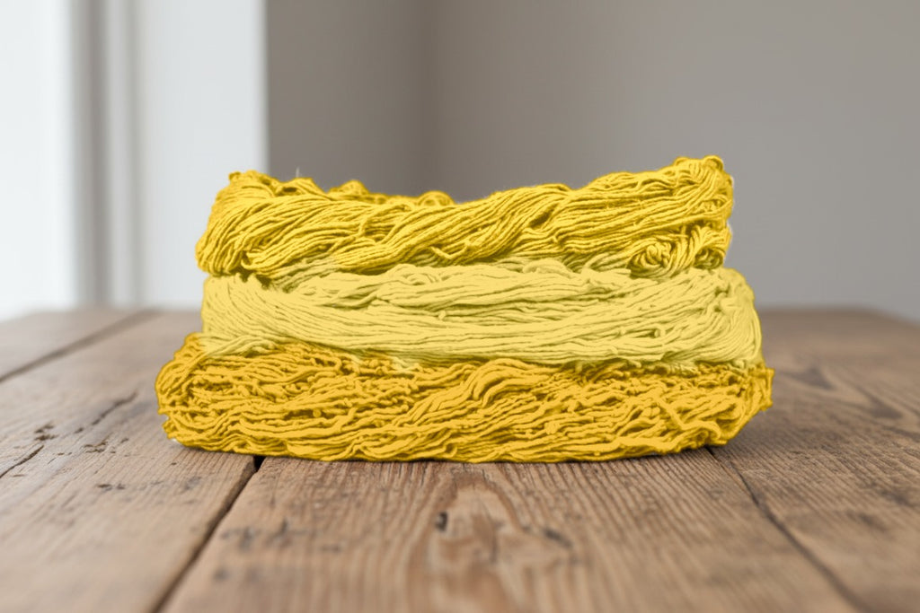 Skeins of cotton plant-dyed with turmeric in shades of golden yellow
