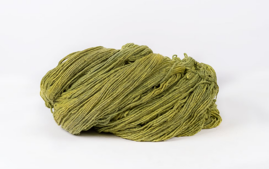 Skein of olive-green cotton dyed with indigo and turmeric